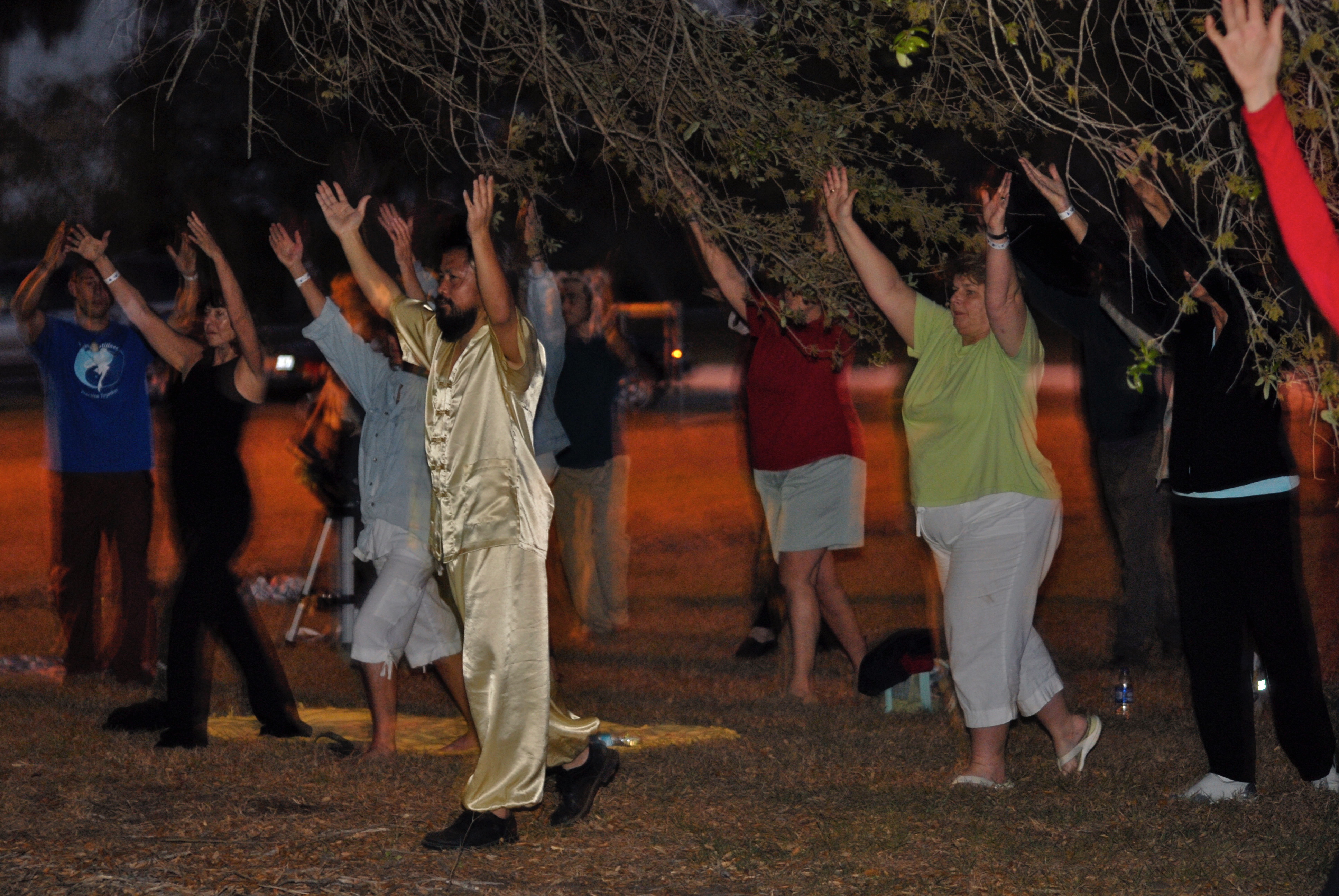 Master Wu Workshop Joane Patrick hosted in 2010