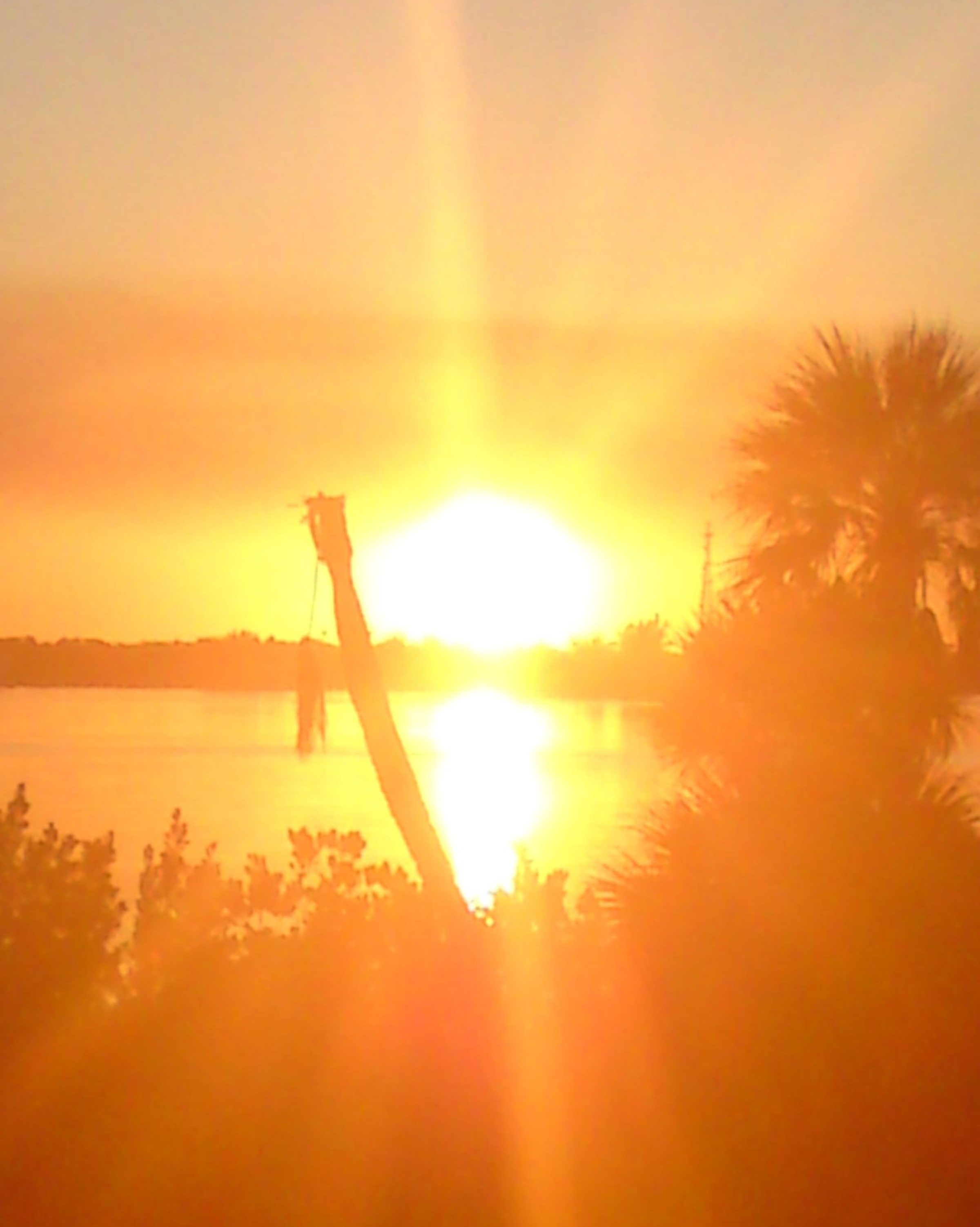 sun gazing and qigong.... perfect 